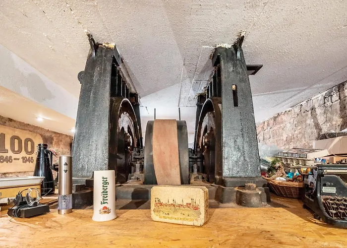 Zur Alten Saege شقة دريسدن